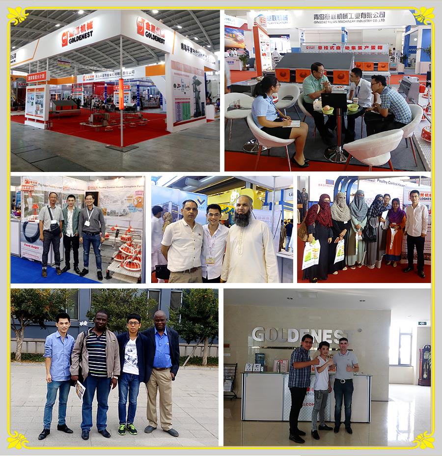Exhibition Exhibition